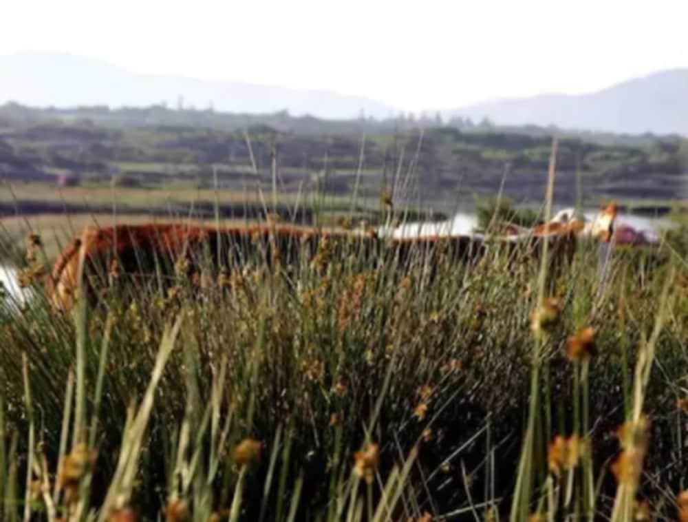 Sneem Hotel Dış mekan fotoğraf